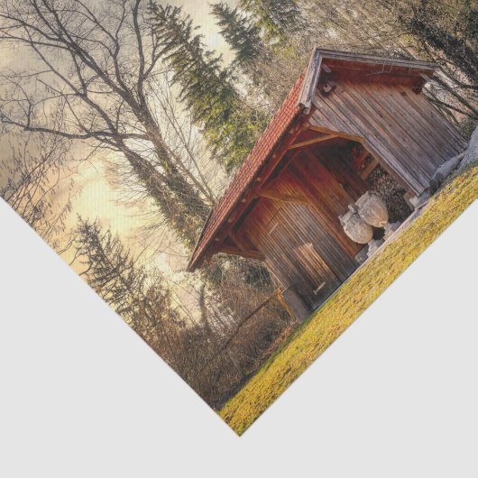 Kleine rode schuur met keramische potten tissuepapier (Detail)