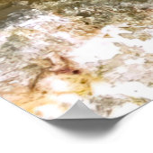 Kleine rode vis poster (Hoek)