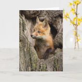 Kleine rode vos in een boom Hollow Kaart (Gele Bloem)