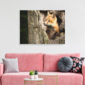 Kleine rode vos in een holle boom canvas afdruk (Insitu (Woonkamer))