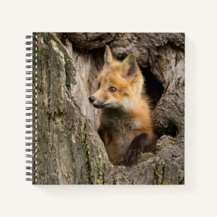 Kleine rode vos in een holle boom notitieboek