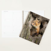 Kleine rode vos in een holle boom planner (Display)