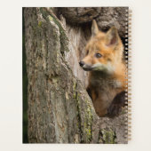 Kleine rode vos in een holle boom planner (Achterkant)