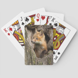 Kleine rode vos in een holle boom pokerkaarten