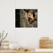 Kleine rode vos in een holle boom poster (Keuken)