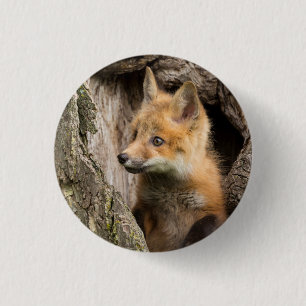 Kleine rode vos in een holle boom ronde button 3,2 cm