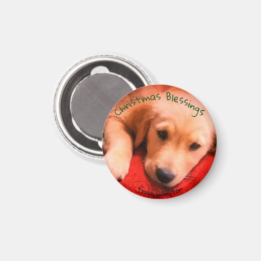 Kleine, ronde Golden Retriever Puppy Magnet (Voorkant / Achterkant)