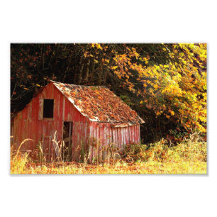 Kleine Rood Shed. Foto Afdruk