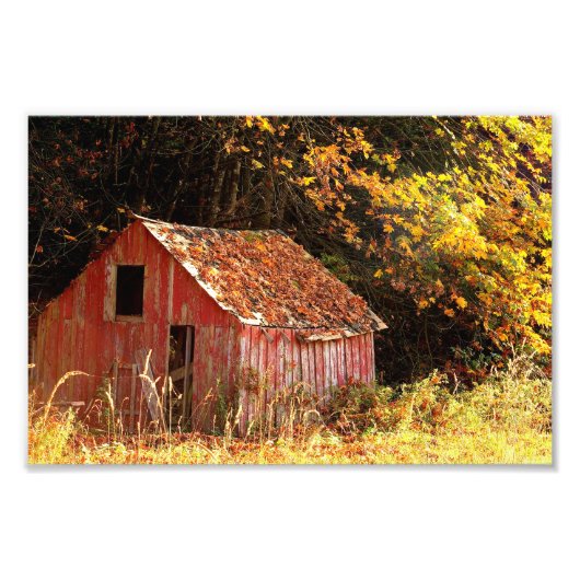 Kleine Rood Shed. Foto Afdruk (Voorkant)