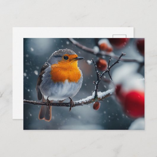 Kleine roodborstvogel zit op een tak in de winter briefkaart (Voorkant / Achterkant)
