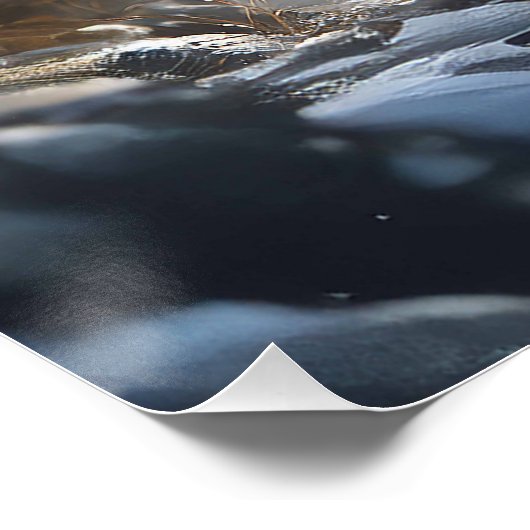 Kleine roodkapuffel perfect poster (Hoek)