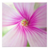 Kleine Roze Bloem Foto Afdruk (Voorkant)