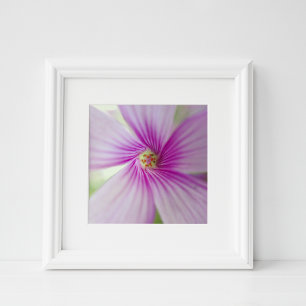 Kleine Roze Bloem Foto Afdruk