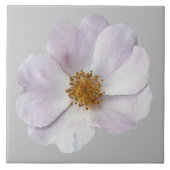 Kleine roze bloem tegeltje (Voorkant)