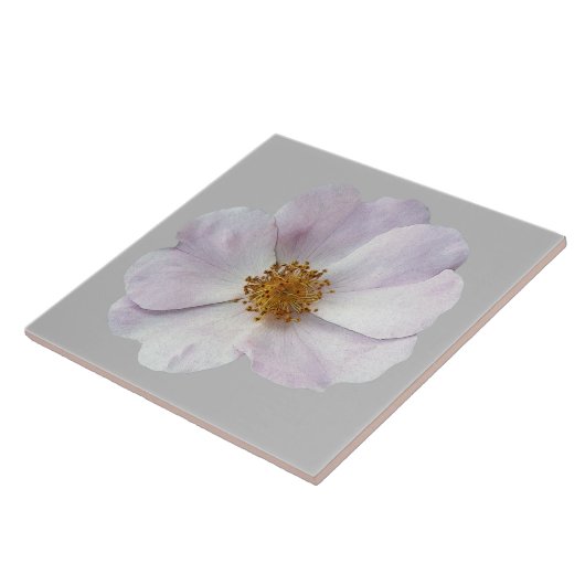 Kleine roze bloem tegeltje (Zijkant)