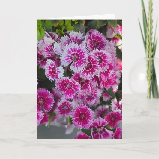 Kleine Roze Bloemen Lege Notitiekaart (Voorkant)
