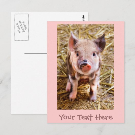 Kleine roze Briefkaart (Voorkant / Achterkant)