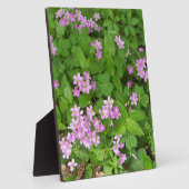Kleine roze delicate wilde bloemen fotoplaat (Zijkant)