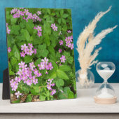 Kleine roze delicate wilde bloemen fotoplaat (Zijkant)