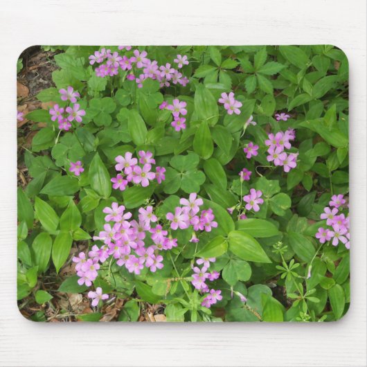 Kleine roze delicate wilde bloemen muismat (Voorkant)