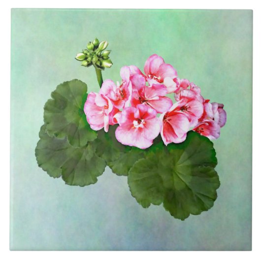 Kleine roze geranium tegeltje (Voorkant)