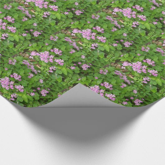 Kleine roze, gevoelige wilde planten cadeaupapier (Hoek)