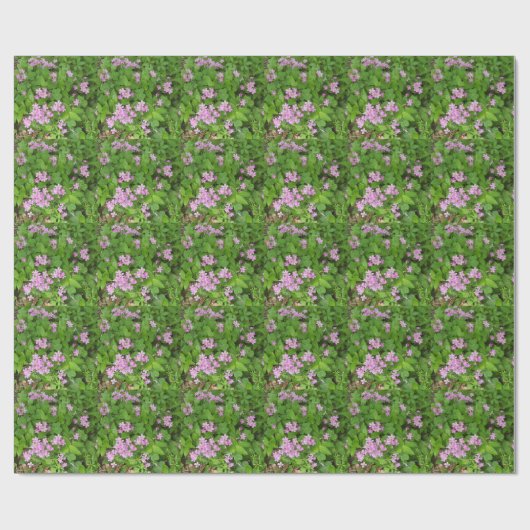 Kleine roze, gevoelige wilde planten cadeaupapier (Vlak)