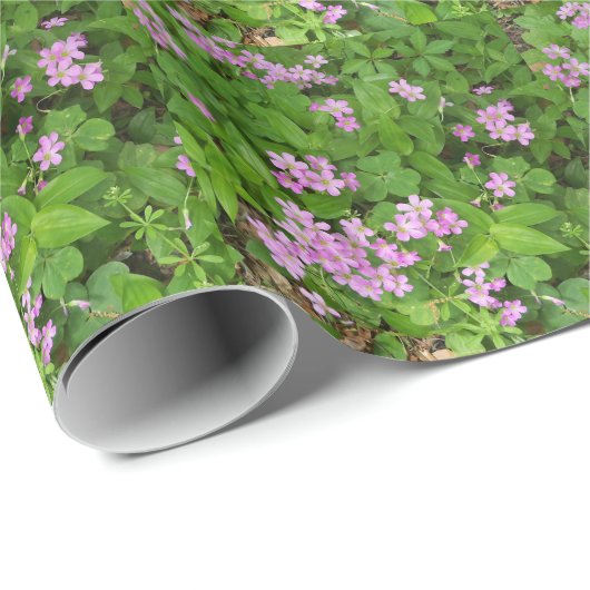 Kleine roze, gevoelige wilde planten cadeaupapier (Rol Hoek)