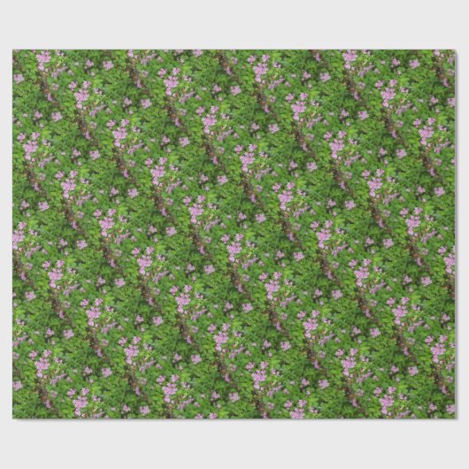 Kleine roze, gevoelige wilde planten cadeaupapier (Vlak)