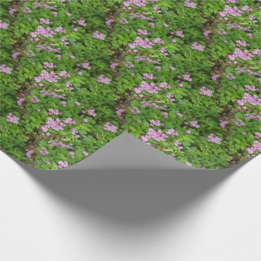 Kleine roze, gevoelige wilde planten cadeaupapier (Hoek)