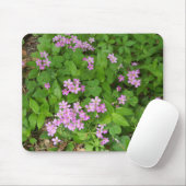 Kleine roze, gevoelige wilde planten muismat (Met muis)