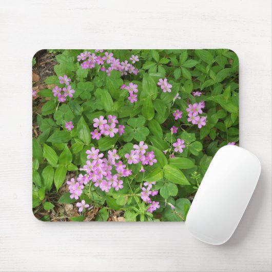 Kleine roze, gevoelige wilde planten muismat (Met muis)