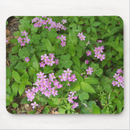 Kleine roze, gevoelige wilde planten muismat