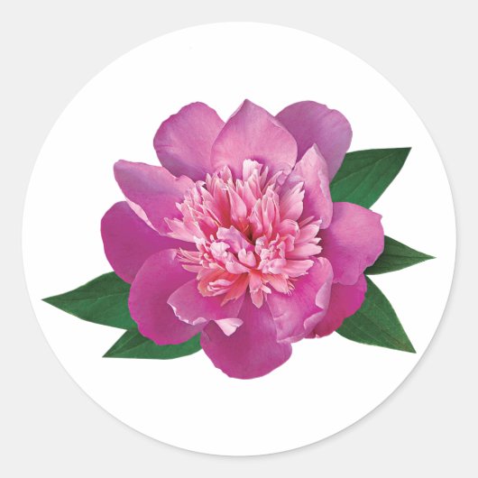 Kleine roze pony ronde sticker (Voorkant)