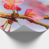 Kleine roze Sakura-schoonheid in het voorjaar Cadeaupapier (Hoek)