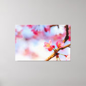 Kleine roze Sakura-schoonheid in Springtime Canvas Afdruk (Voorkant)