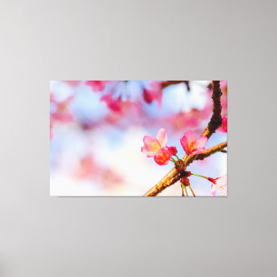 Kleine roze Sakura-schoonheid in Springtime Canvas Afdruk
