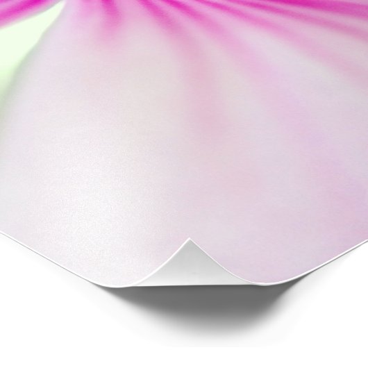 Kleine roze ventilator foto afdruk (Hoek)