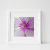 Kleine roze ventilator foto afdruk