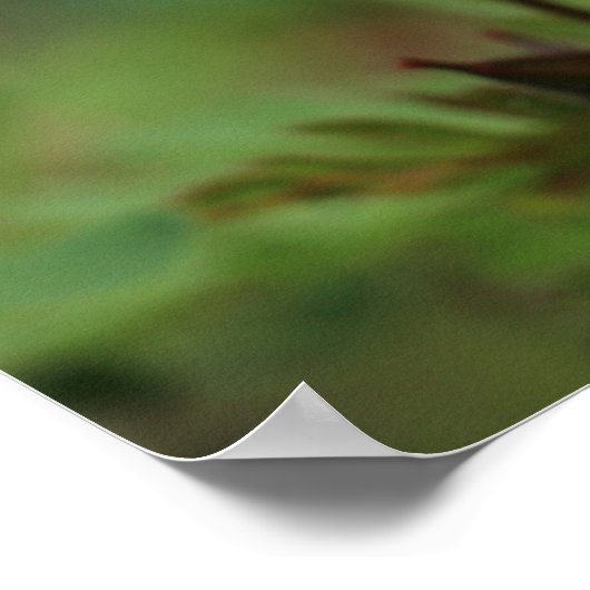 Kleine roze wilde bloemen van Herb Robert Poster (Hoek)