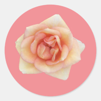 Kleine Rozen Sticker