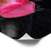 kleine rozenbuis opent poster (Hoek)