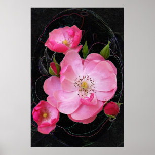 kleine rozenbuis opent poster