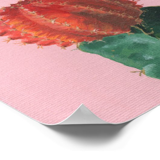 Kleine Ruby Ball Cactus Acrylverf Poster (Hoek)