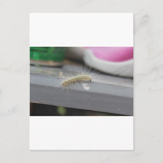 Kleine rups briefkaart (Voorkant)