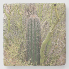 Kleine Saguaro Cactus, Arizona, onderzetter van vi
