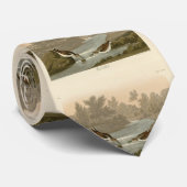 Kleine Sandpiper uit Audubon's Birds of America Stropdas (Opgerold)