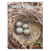 Kleine Schatten Vogelnesten Eieren Notitieboek (Voorkant)