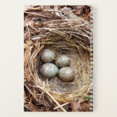 Kleine Schatten Vogelnesten Eieren Notitieboek (Achterkant)