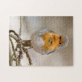 Kleine schattige rode roofvogel legpuzzel (Horizontaal)